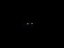 630119_60032_n_1