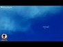 630295_14444_n_1
