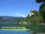 630492_82464_n_2