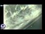 630588_44373_n_1