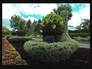 641105_93372_n_2