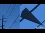 645711_95503_n_1