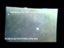 604205_15907_n_1