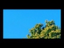 604779_51479_n_1