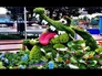 656001_30231_n_2