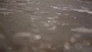 656351_10792_n_2