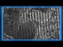 656928_46717_n_1