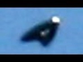 605066_74741_n_1