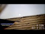 605105_37955_n_1