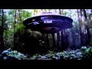 605426_10298_n_1