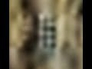 605560_18075_n_1