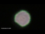 661436_96019_n_1
