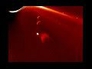 665308_50004_n_1