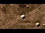 665907_32085_n_1
