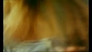 666844_71771_n_2