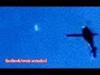 667130_75472_n_1
