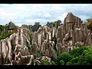 668430_21296_n_3