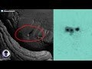 660835_85085_n_1