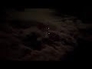 677274_90440_n_1
