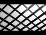 677417_77033_n_1