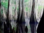 607107_40721_n_2