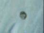 607632_48450_n_1