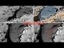 607719_12071_n_1