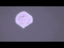 608761_87486_n_1