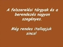 696026_67841_n_2