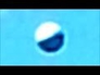 600278_32604_n_1