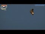 600408_90396_n_1