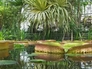 60832_496580_n_2