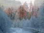 717761_27262_n_2