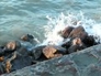 744214_40847_n_1