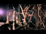 744713_40926_n_1