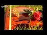 773060_10329_n_1