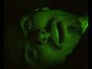 778339_27996_n_1