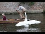 707812_45083_n_1