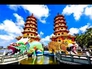 707820_38526_n_2