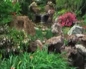 79540_644761_n_2