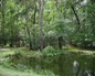 70609_441028_n_2