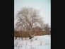 7392_9362374_n_2