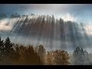 828723_95418_n_1
