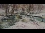 829440_83612_n_1