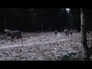 829522_24636_n_1