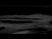 829863_70224_s_1