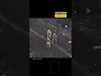830014_28533_n_1