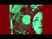830051_49922_s_1