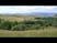830194_86657_s_1