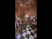 830270_51463_s_1